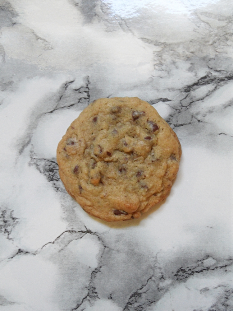 a gooey chocolate chip cookie